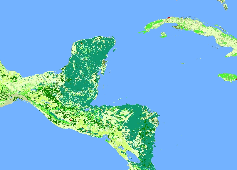 The Maya Forest