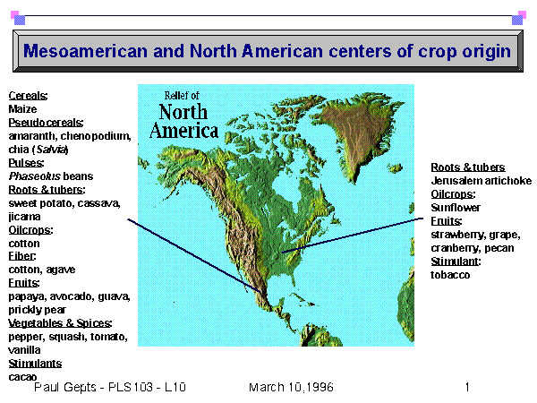 Mesoamerican and North American centers